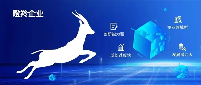 賣家精靈主體云雅科技榮膺成都高新區“瞪羚企業”認證，彰顯科技企業創新活力